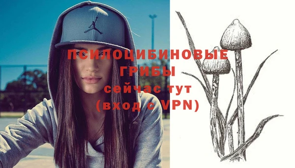 соль курить ск Алексин