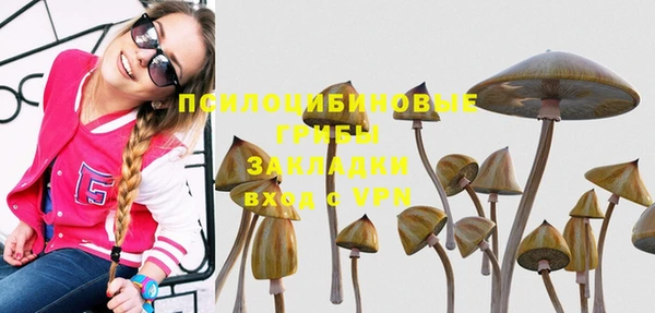 соль курить ск Алексин